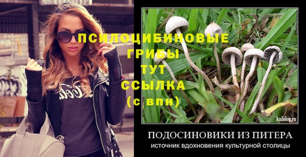 COCAINE Инсар