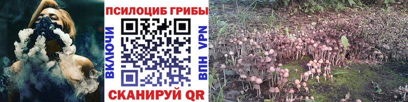 Галлюциногенные грибы прущие грибы  Купить закладки  Минусинск 