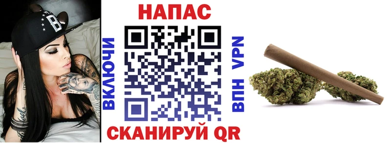 Купить закладки  Минусинск  Марихуана план 